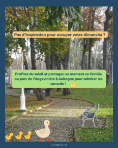🌿🦆 Idée sortie en famille : le parc de l’Angevinère