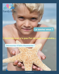 ⭐ À la découverte des étoiles de mer : un trésor fascinant des océans ! 🌊